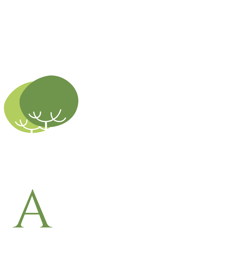 Apollo Real Estate